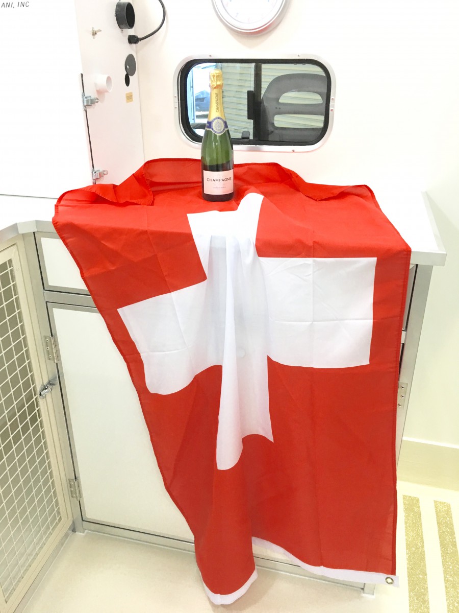 Interior view of the Nell Hunde-Wellness' mobile grooming van for Switzerland and Liechtenstein.