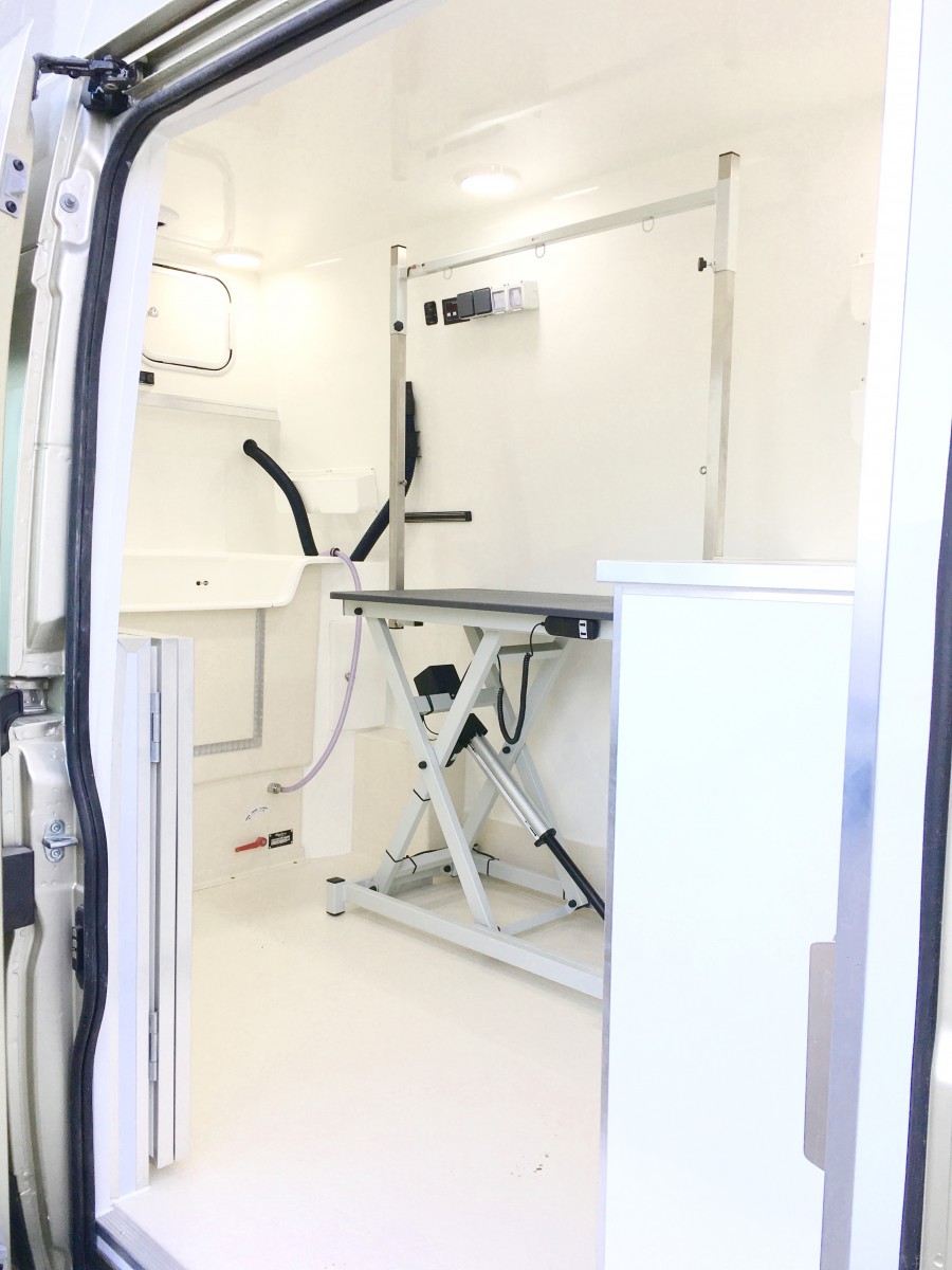 Interior view of the mobile groomer by Nell Hunde-Wellness showing the grooming table