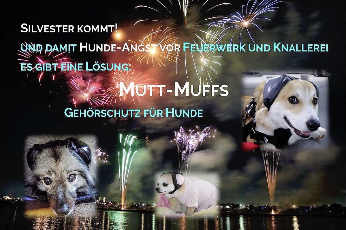 Mutt Muffs Noise protection for dogs