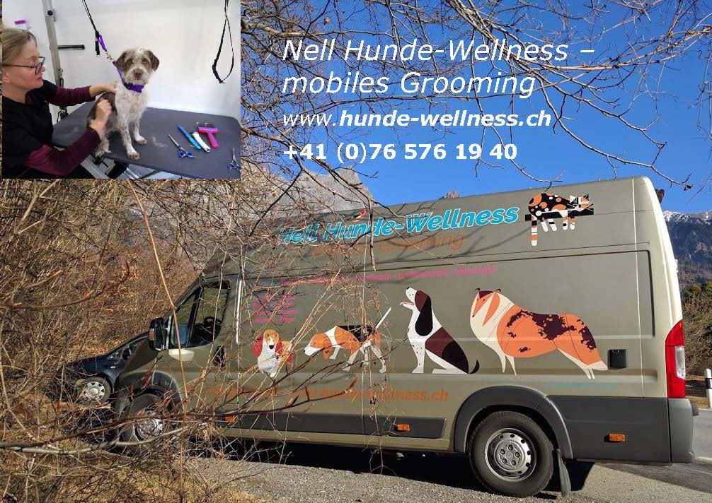 Hunde Wellness Mobile Grooming